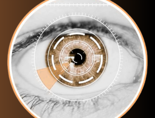 our Vision