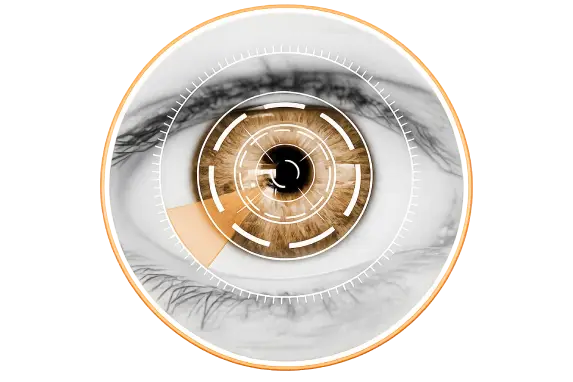 our vision